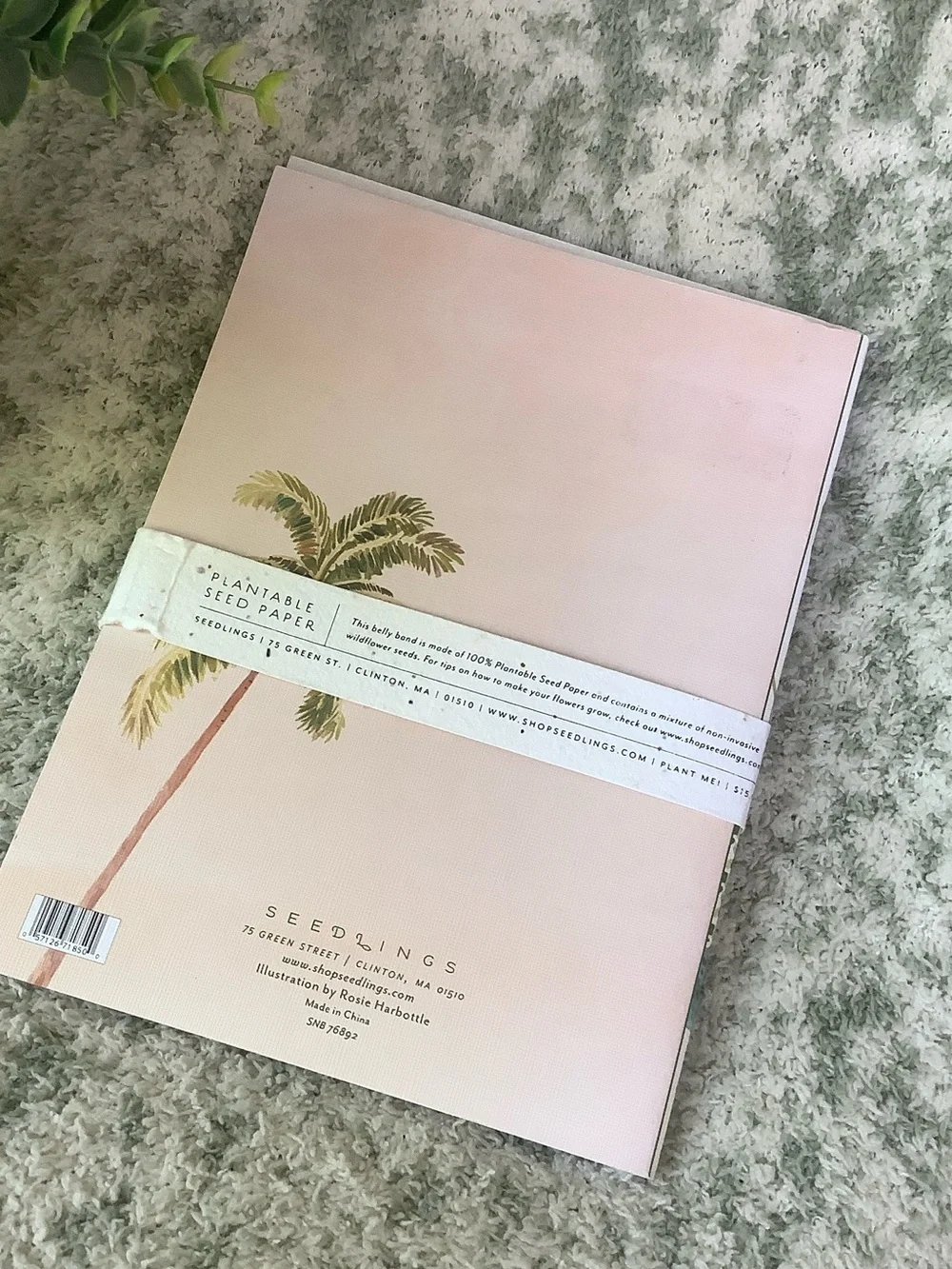 seedlings tropical journals